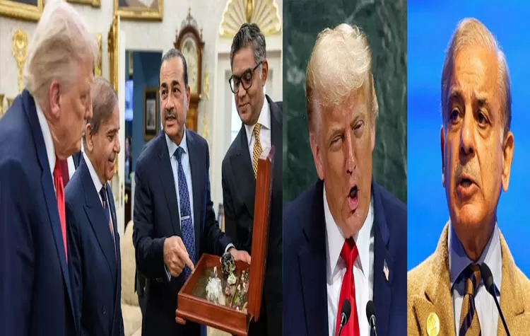 US Offers Pakistan Collaboration In Mineral Exploration
